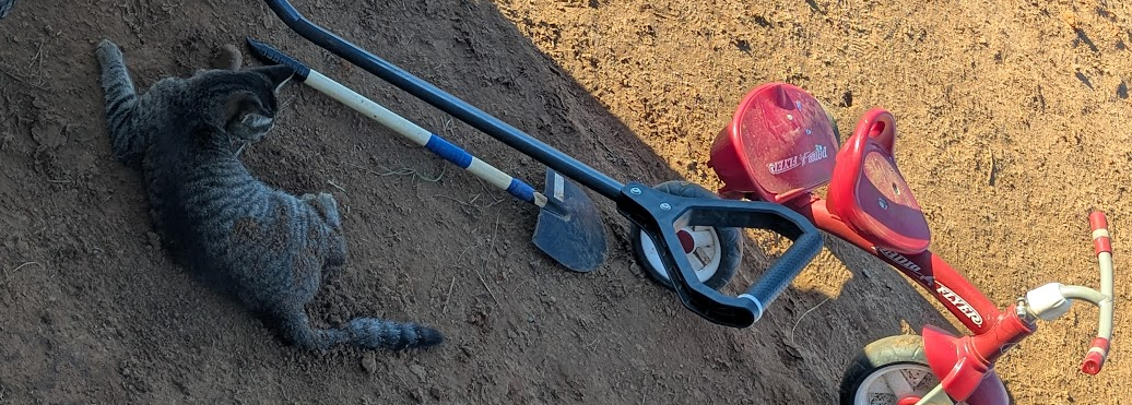 The Purpose Behind the Barn Cats at Ten Talents @ 347